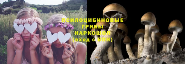 сатива Алексеевка