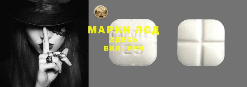 крисы Алзамай