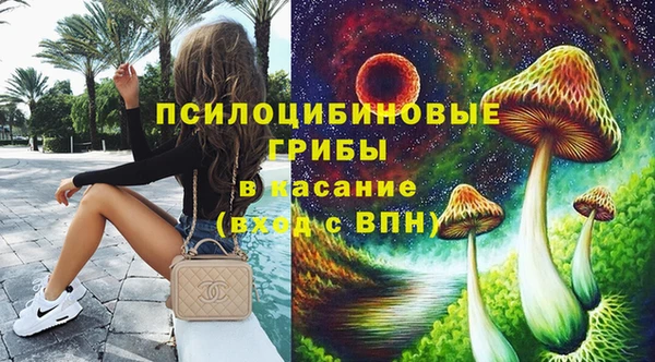 крисы Алзамай