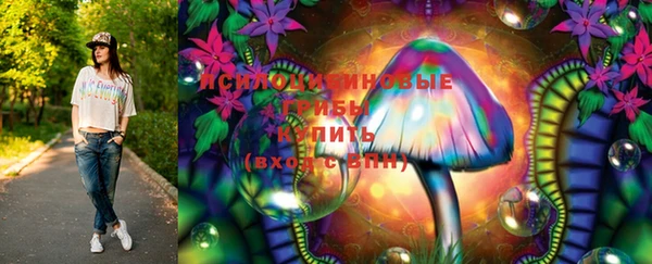 крисы Алзамай