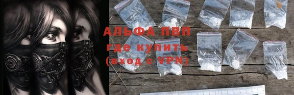крисы Алзамай