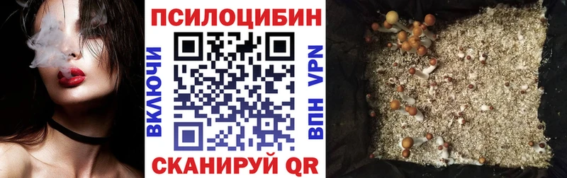 Галлюциногенные грибы Psilocybe  купить наркотик  Нижний Ломов 